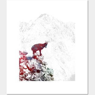 Alpine ibex Posters and Art